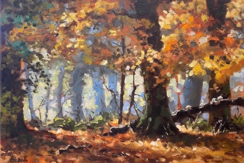 herfstbos2 rudyvolbeda