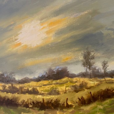 stroomruggen rudyvolbeda