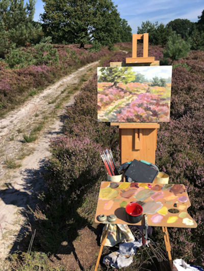 BLOEIENDE HEIDE OP DE HOLTERBERG