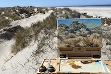 DE HOGE DUINEN VAN TERSCHELLING