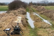 PLASDRAS IN DE UITERWAARDEN