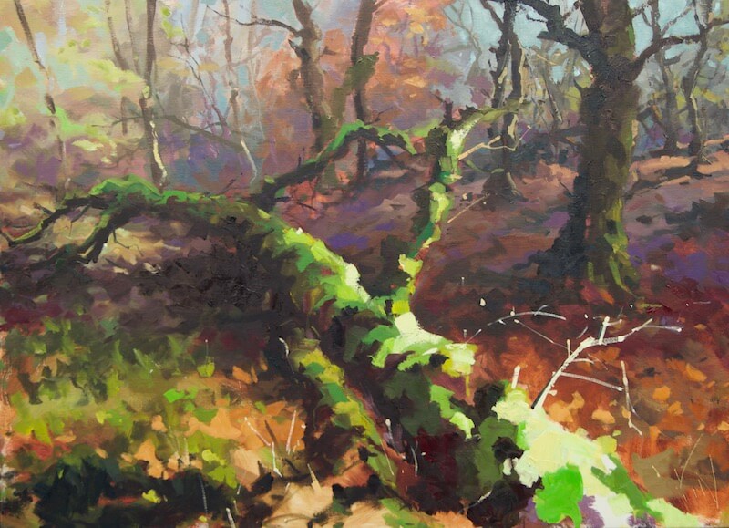 Neerlands oerbos-Rudy Volbeda